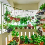 Apartment Gardening Ideas