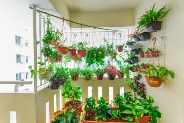 Apartment Gardening Ideas