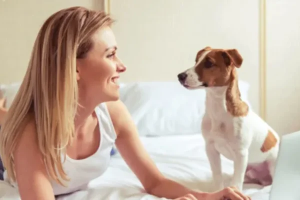 How to Find Pet-Friendly Apartments