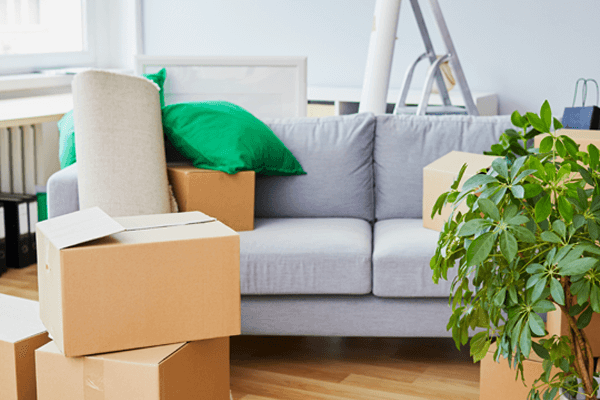 Tips for Moving into a New Apartment