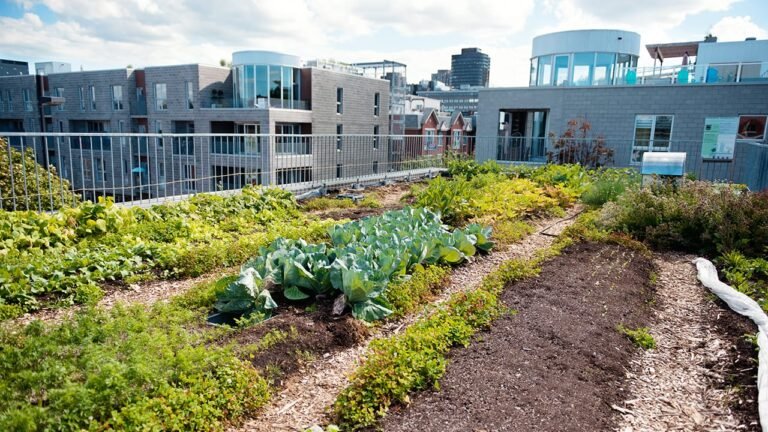 Sustainable Urban Living