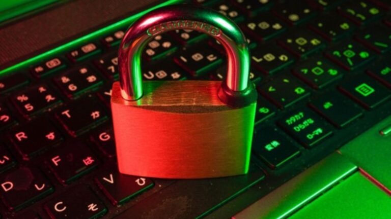Wolf Winner Casino Online Privacy & Data Protection